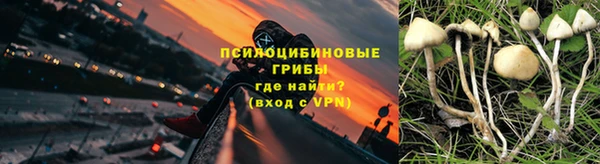 PSILOCYBIN Алексеевка