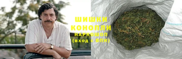 PSILOCYBIN Новозыбков