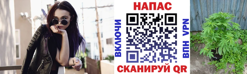 как найти закладки  Алексин  Марихуана VHQ 